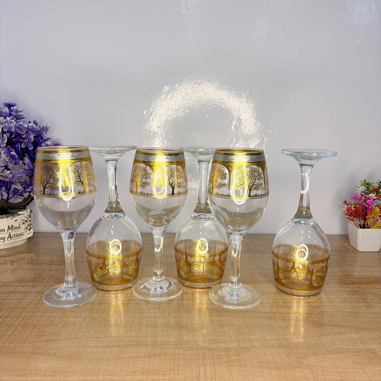 AM7740 Premium Elegant Clear Stemmed Wine Goblet Glassware Set of 6 Pieces for Dining