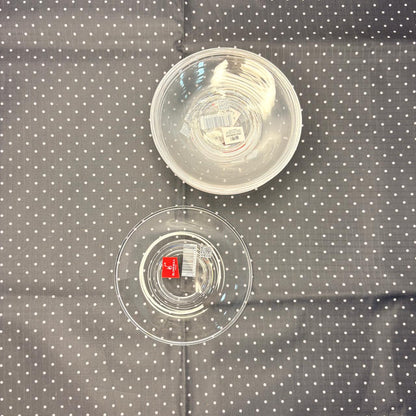 AM7752 Blinkmax 6-Piece Clear Glass Saucer Set for Tea & Coffee