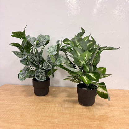 AM7764 Premium Artificial Tabletop Green Plants in Sleek Black Pots (Pack of 1)