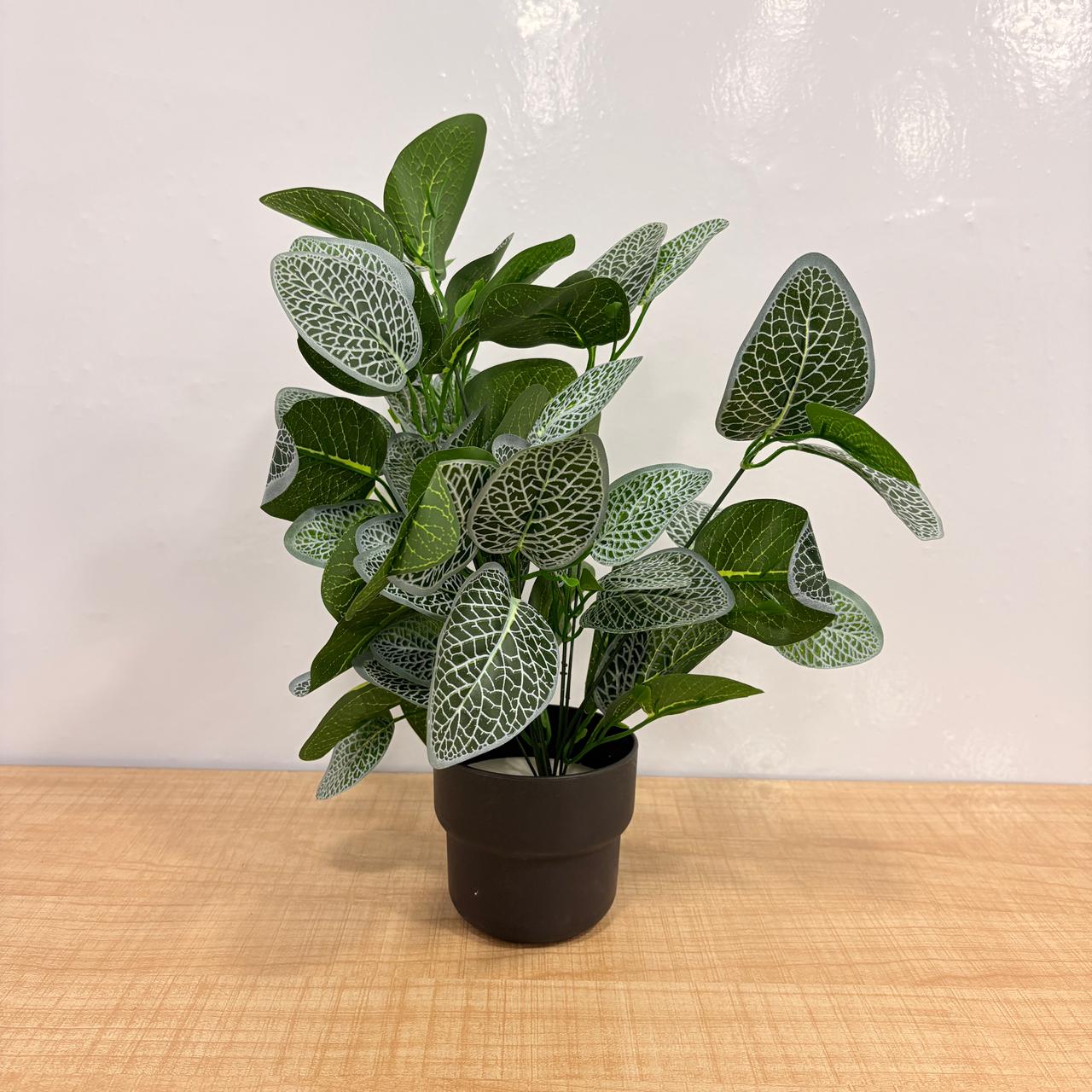 AM7764 Premium Artificial Tabletop Green Plants in Sleek Black Pots (Pack of 1)