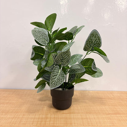 AM7764 Premium Artificial Tabletop Green Plants in Sleek Black Pots (Pack of 1)