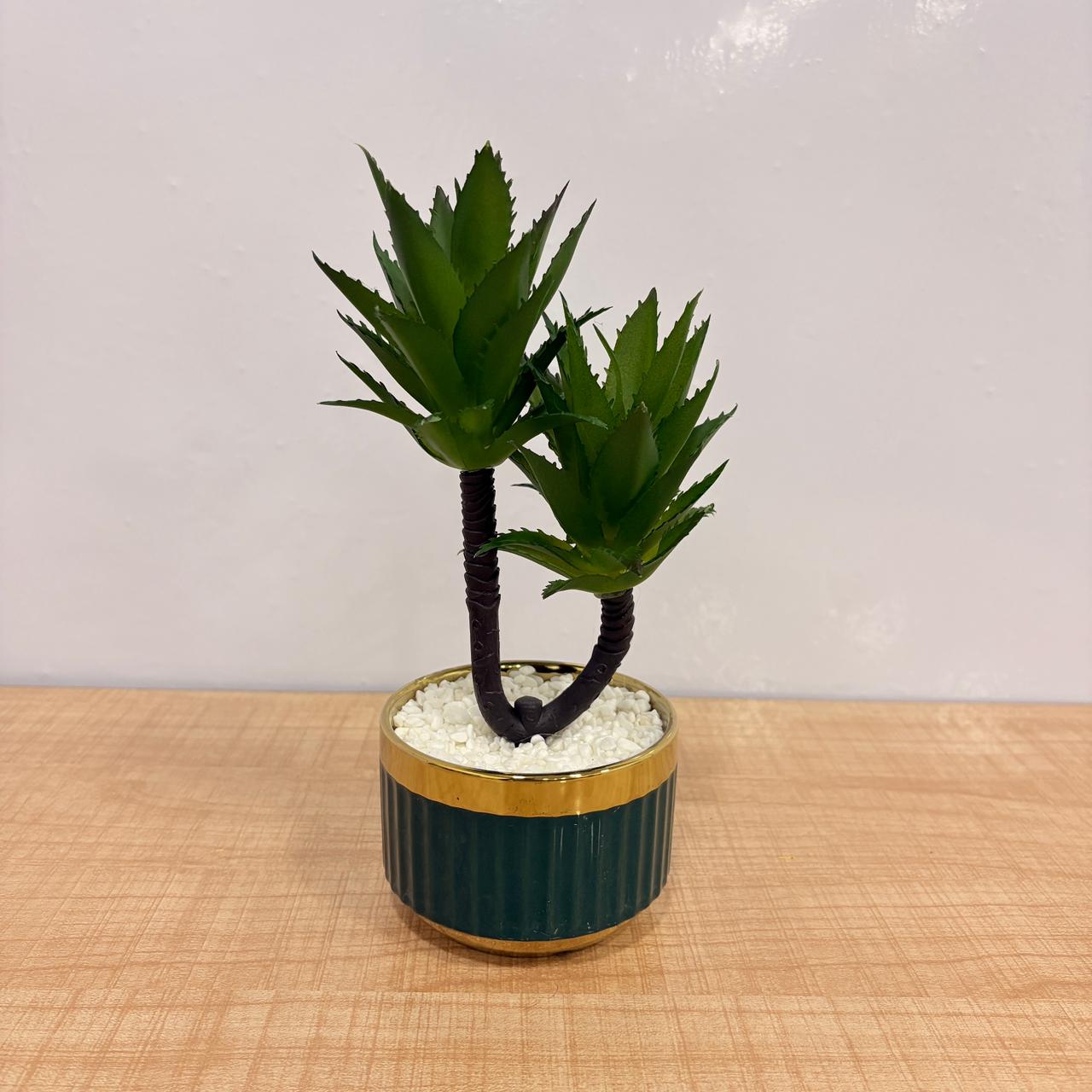 AM7772 Artificial Aloe & Succulent Potted Plants Mix (Pack Of 1)