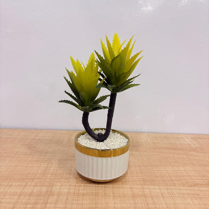 AM7772 Artificial Aloe & Succulent Potted Plants Mix (Pack Of 1)