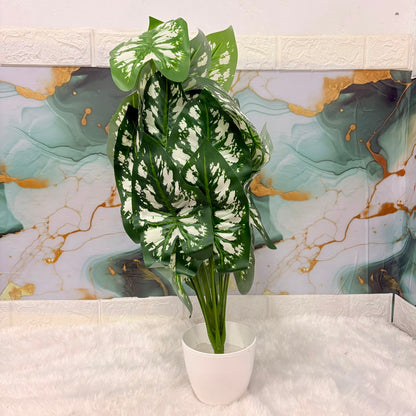 A06679 Artificial Variegated Caladium Potted Plant for Home & Office Decor