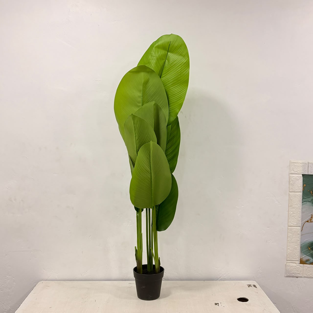 A06681 Medium Artificial Banana Palm Plant in Black Nursery