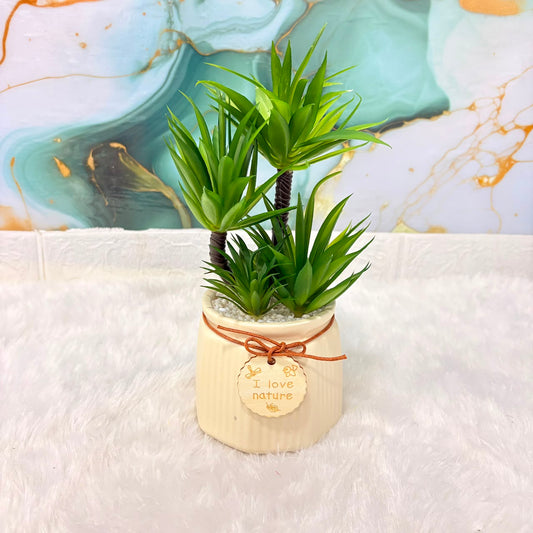 A06685 Mini Artificial Succulent Plant in Ceramic Pot with "I Love Nature" Tag – Decorative Fake Tabletop Plant
