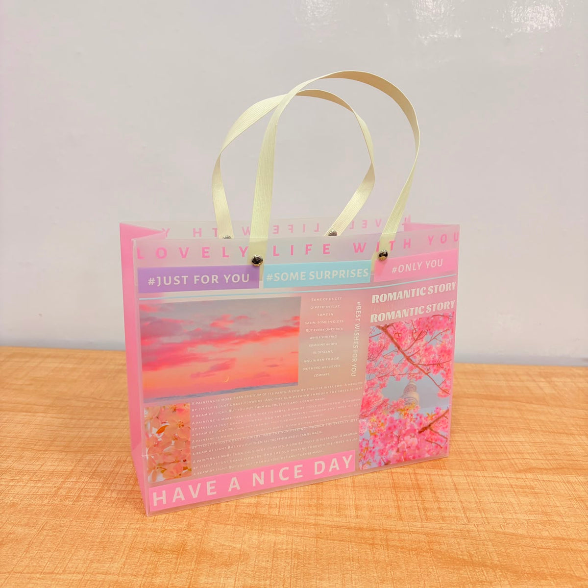A07016 Aesthetic Frosted Plastic Gift Bag with Handles (255 x 200 x 95 mm)