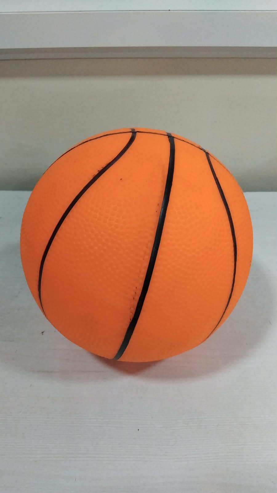 A06670 Basketball for Kids