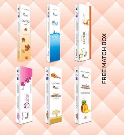 AM2124 Parivaar Premium Economy Agarbatti Mix Incense 90Gm