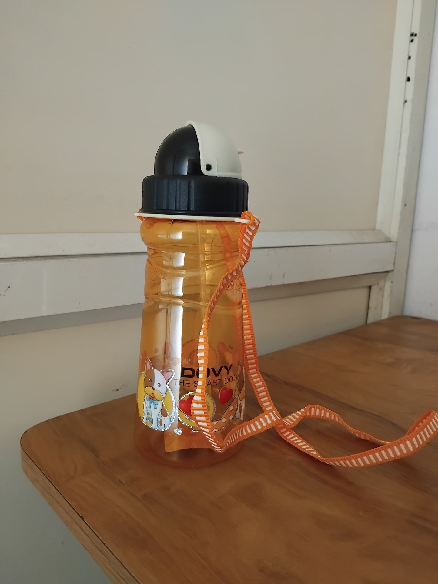 AM3266 Jinny Water Bottle with Belt