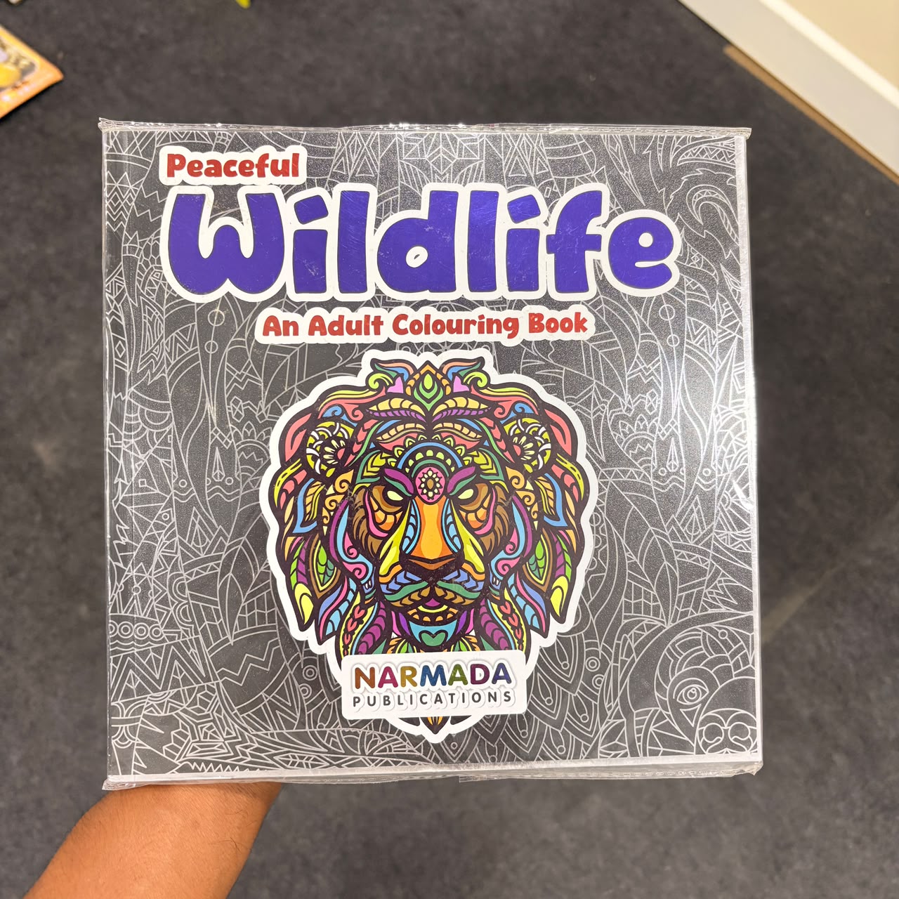 AM7243 Colouring Book by Narmada Publications